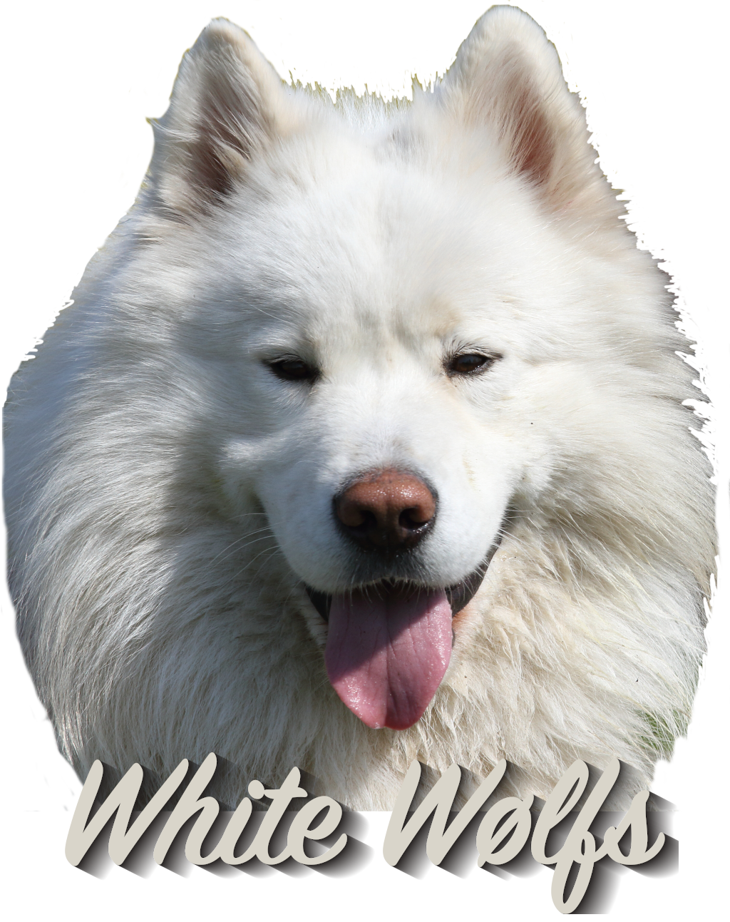 Hardrock band White Wølfs